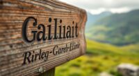 gaelic names meanings and modifications