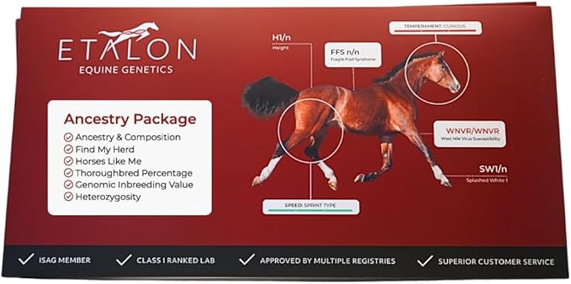 horse dna ancestry kit