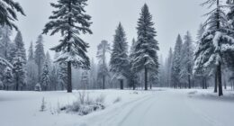 names inspired by snow