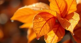 names symbolizing fall season