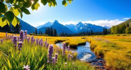 names symbolizing wellness and recovery