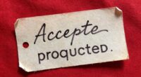 multiple accepted pronunciation standards