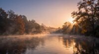 names of renewal and light