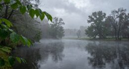 names related to gentle weather