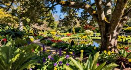 nature inspired names mainstreaming