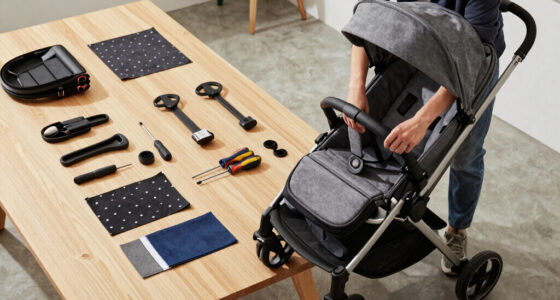 2 Best Stroller Travel Systems in 2026