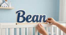 8 Best Luxury Nursery Name Signs for Boys Rooms in 2026
