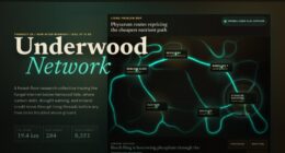 Underwood Network - Living Mycelium Research Map — Organic Canvas Interaction (FABLE/175, room 28)