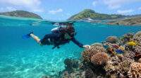 M 4.5 - South Of The Fiji Islands