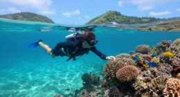 M 4.5 - South Of The Fiji Islands