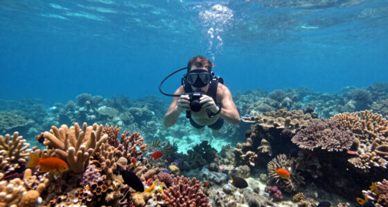 Great Barrier Reef, Queensland, Australia Surges In Global Coverage